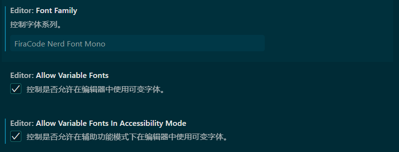 VS code配置示意图